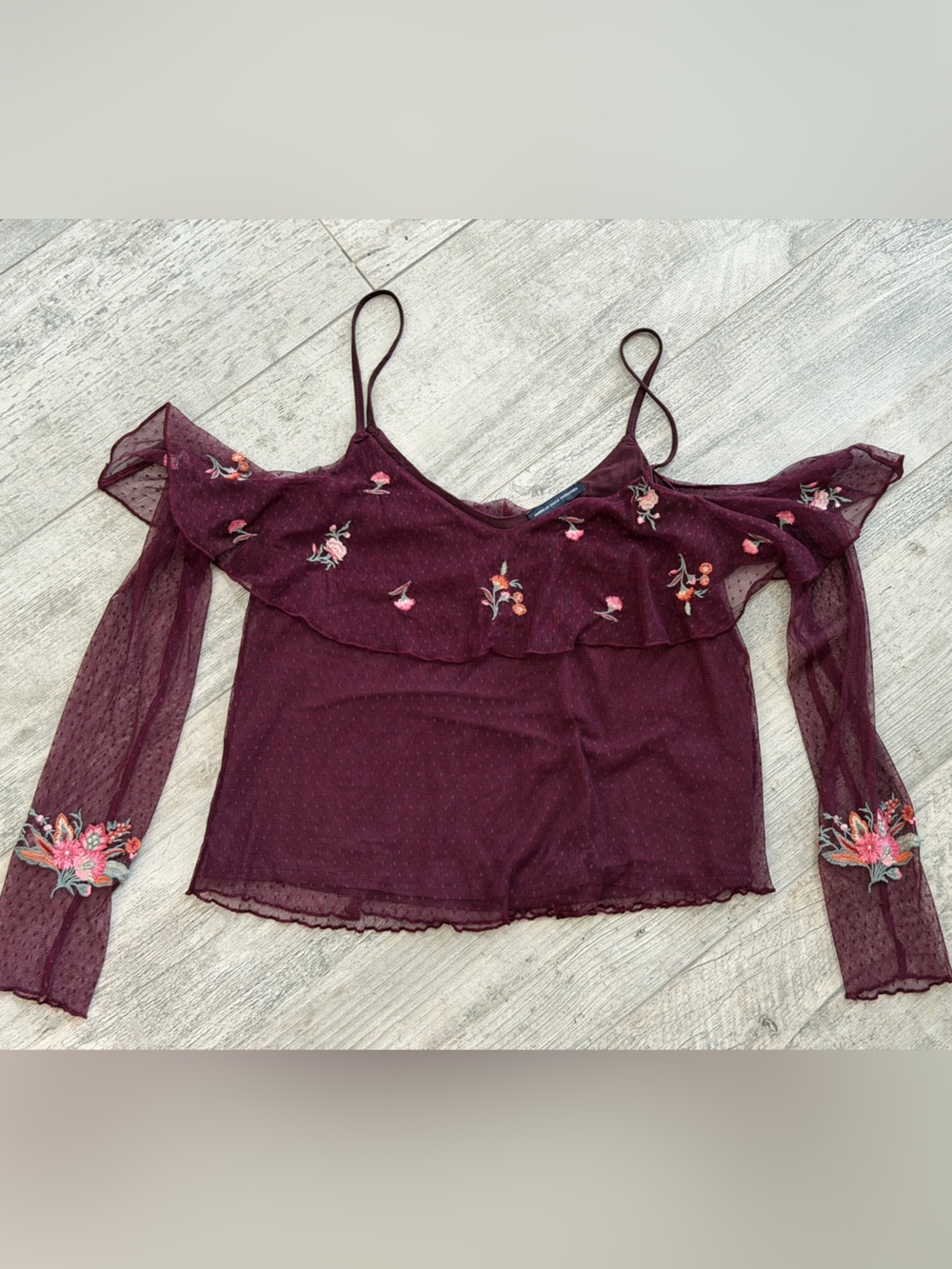 American Eagle Outfitters Y2K Whimsigoth Sheer Embroidered Off-Shoulder Camisole